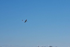 20260301_111455-scaled