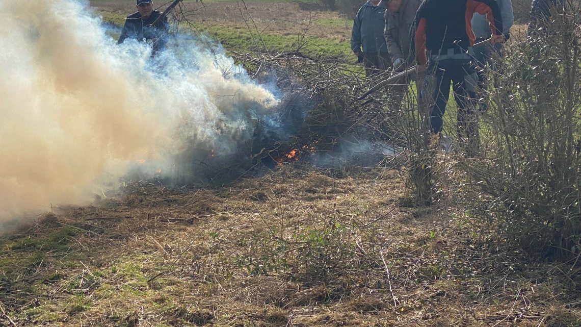 Viele Hände – schnelles Ende